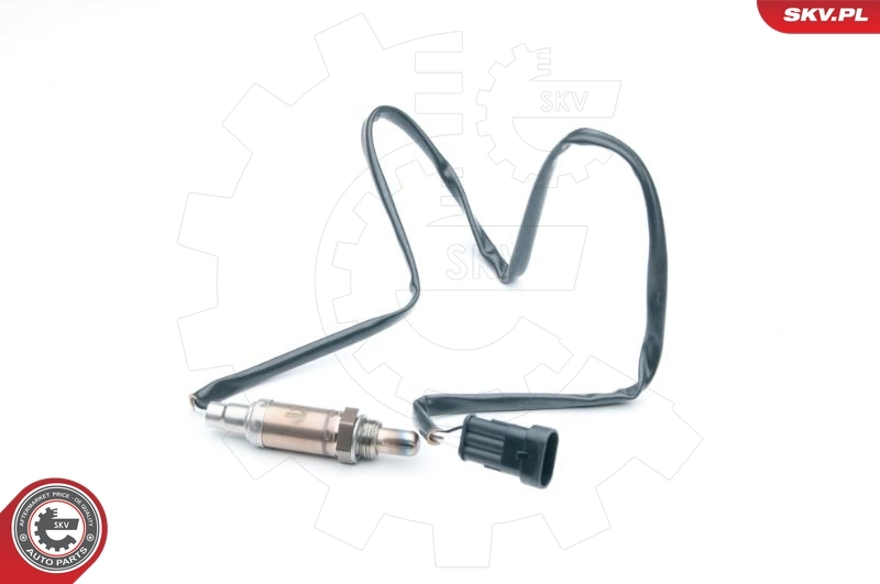 Oxygen Sensor